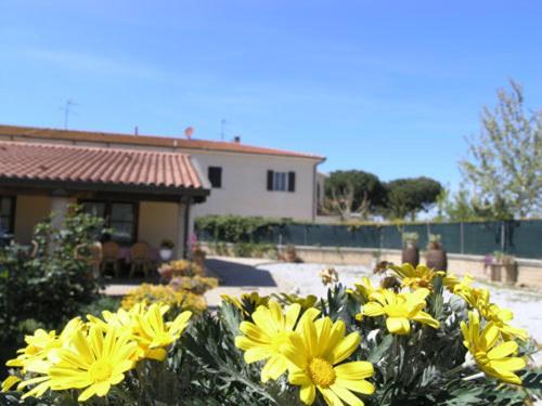 Agriturismo Podere San Michele San Vincenzo Buitenkant foto